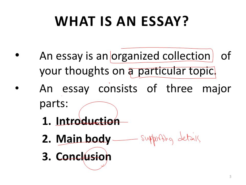 Essay Conclusions